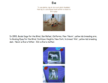 Tablet Screenshot of evesmaster.com
